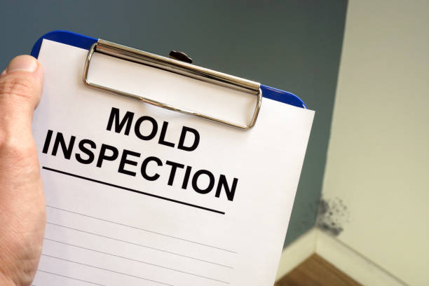 Forensic Mold Investigation in Williams, OR